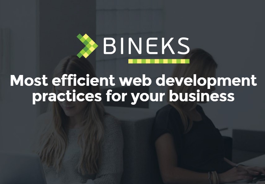 Bineks logo